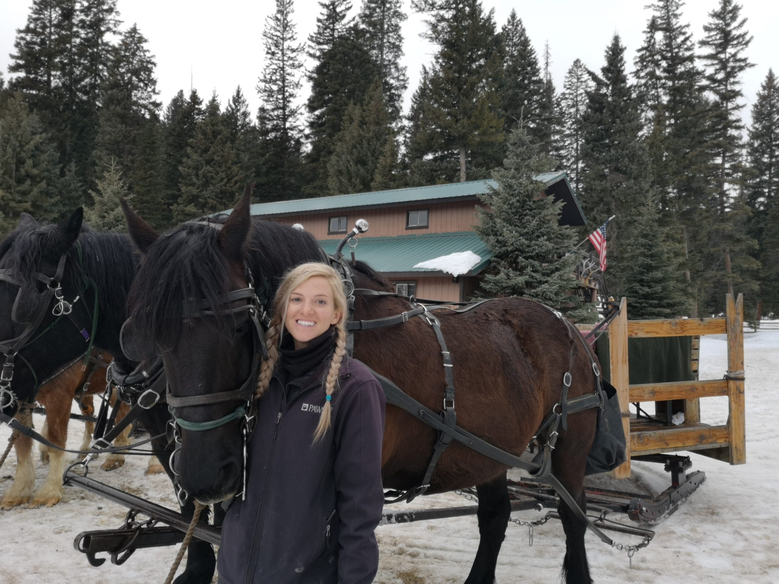 Pferdepflegerin Sarah