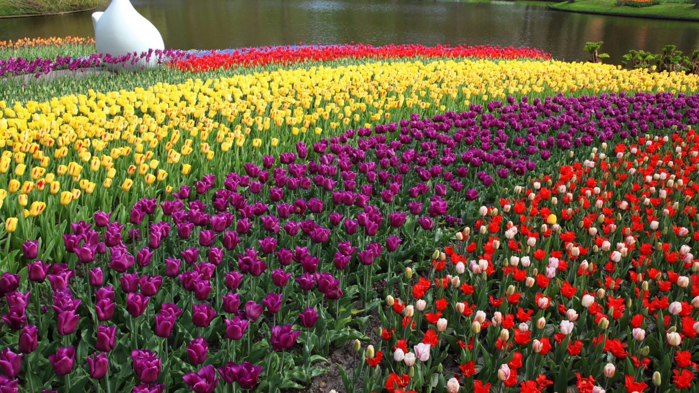 colorful_tulips_in_keukenhof_189198-Foto-Petr-Kratochvil-scaled.jpg