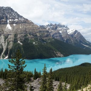 Lake im Jasper National Park