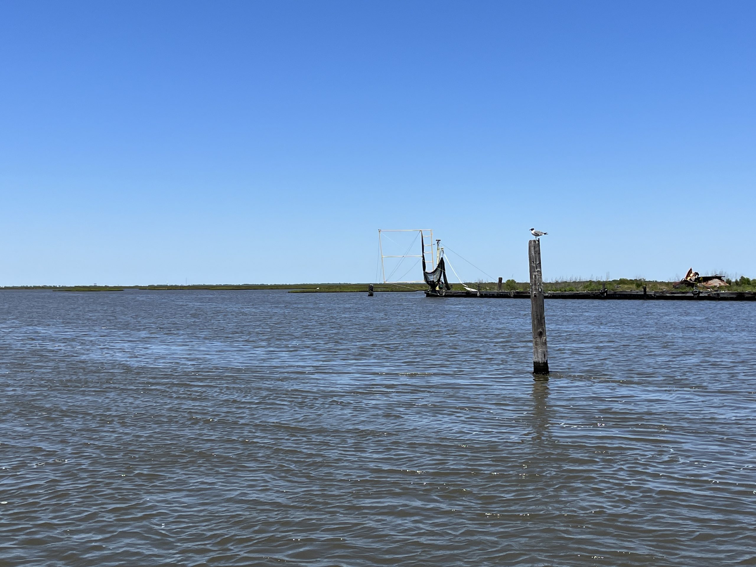 Ptägt Louisiana's Süden - Wasser von salzig im Golf von Mexiko bis süß in den Bayous Foto Ulrike Wirtz.jpg