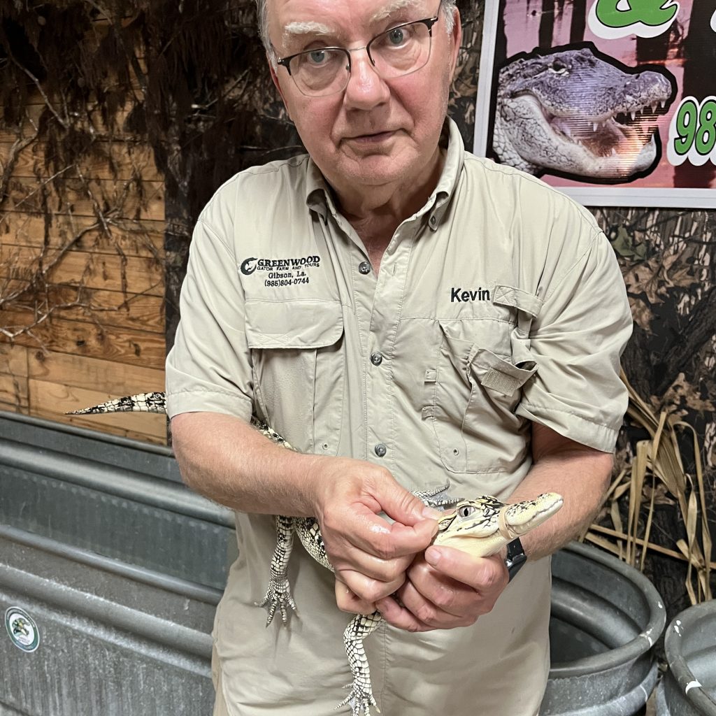 In der Gator Farm Greenwood einen Mini-Alligator kuscheln - Guide Kevin assistiert  Foto Ulrike Wirtz