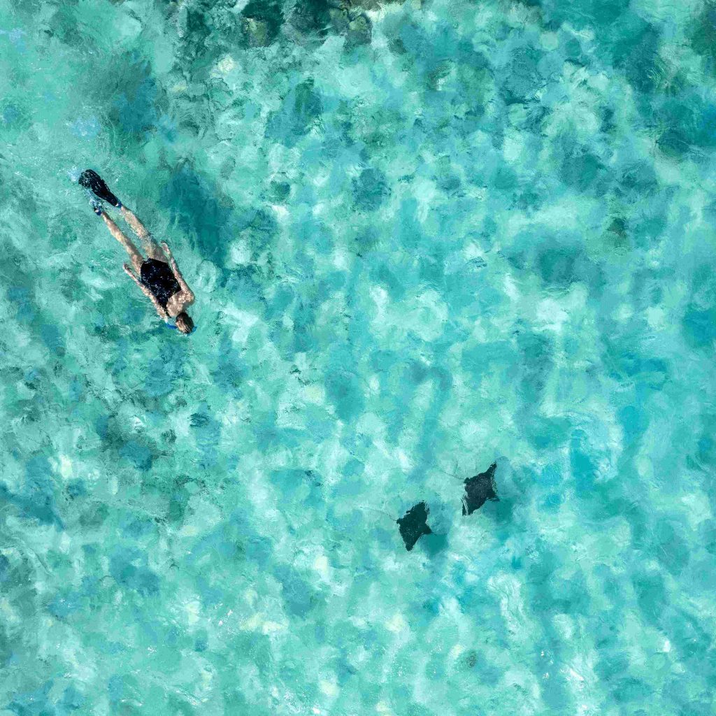 Schnorcheln auf den Malediven