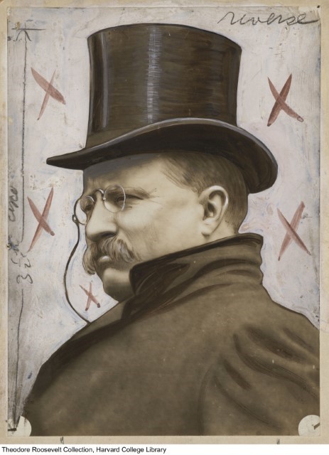Präsident Theodore Roosevelt bei der Arbeit Foto Harvard-Library Collection