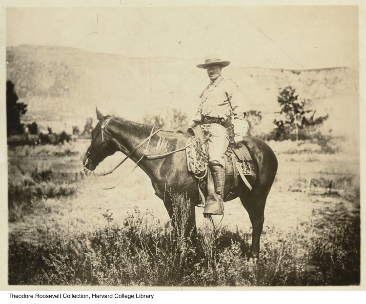 Theodore Roosevelt als Rancher in den Badlands von North Dakota Foto Harvard_Library_Collection