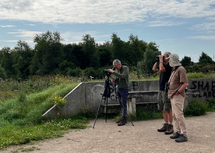 Oostvaardersplassen_ Hobbyornithologe_Rene_Foto_Ulrike_Wirtz
