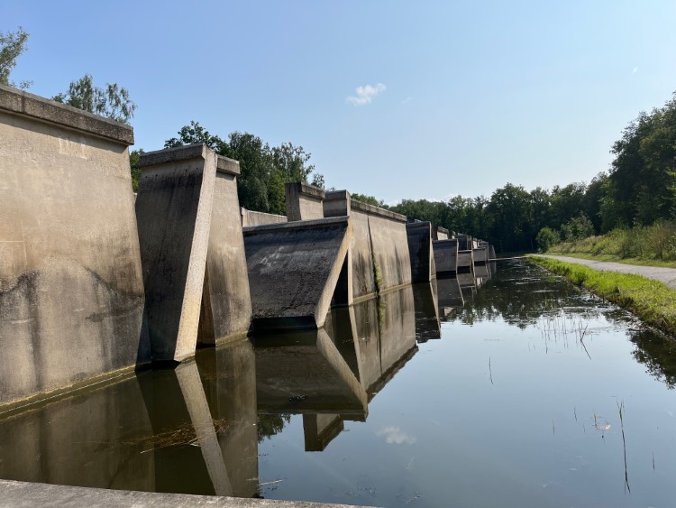 Waterloopbos mit dem Deltagoot Foto Ulrike Wirtz
