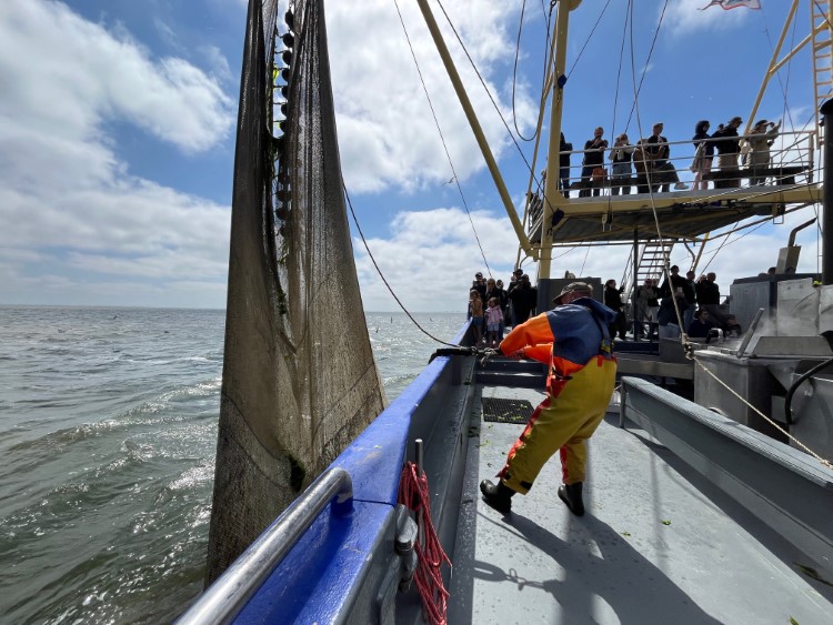Deckhand Roland im Einsatz Foto_Ulrike Wirtz