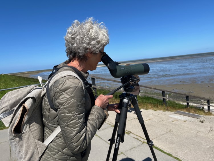 Hobby_Vogelkundlerin an der Wattseite auf dem Deich vor Cocksdorp_Foto_Ulrike_Wirtz_6668.JPG