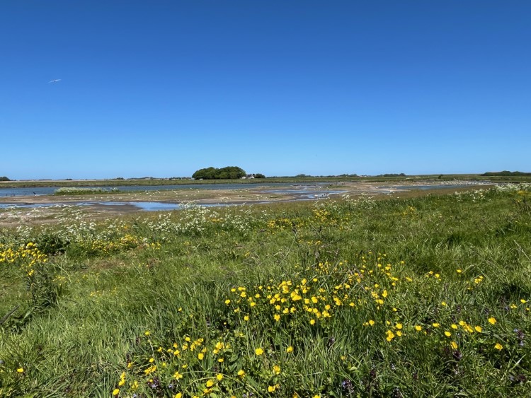 renaturiertes Areal Ottersaat Foto Ulrike Wirtz 6545
