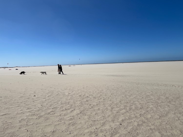 Texel ist hundefreundlich - hier am Strand vor den Eijerlandse Duinen_Foto Ulrike Wirtz.