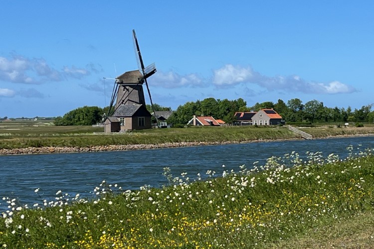 Windmolen-Idylle vor dem Deich in Cocksdorp Foto Ulrike Wirtz