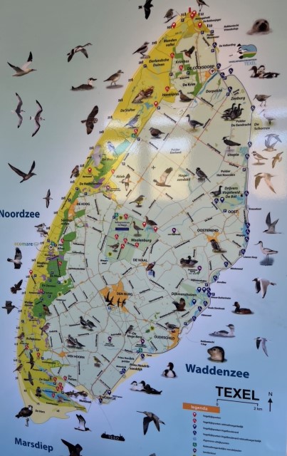 Naturschutzinsel Texel - hier seine Vogel-Karte Foto Ulrike Wirtz