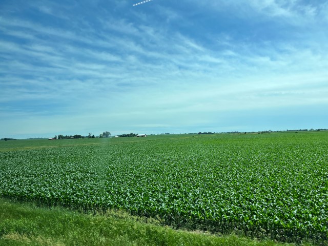 Jenseits von Chicago wartet das platte-Land des Mittleren Westens Foto Ulrike Wirtz