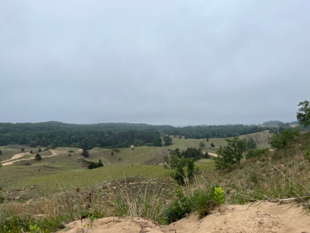 Dünenlandschaft bei Saugatuck Foto Ulrike Wirtz