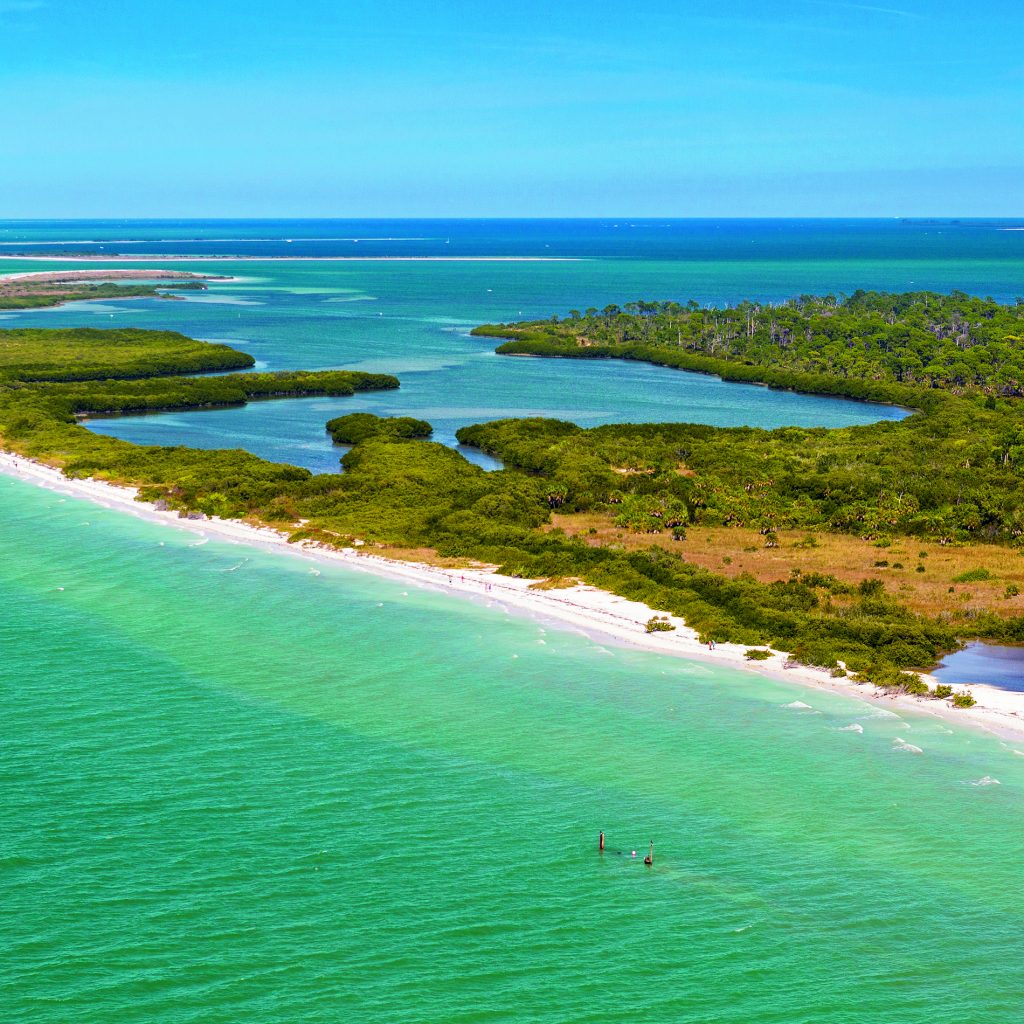 Honeymoon Island ist ein State Park Foto Visit St. Pete-Clearwater