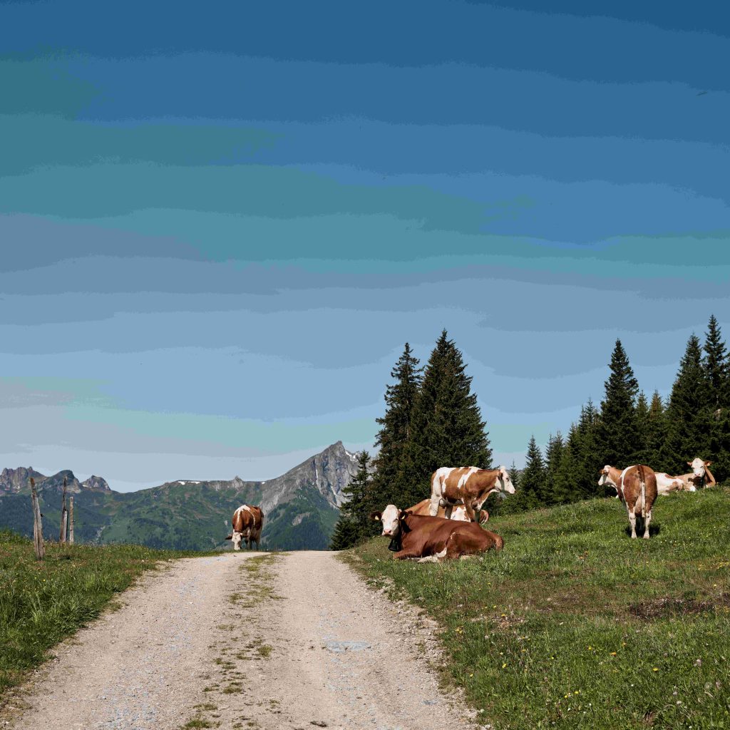 Trails zu traditionelle Hütten mit herzhaften Schmankerln